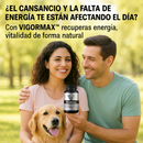 VIGOR MAX - PAGA AL RECIBIR